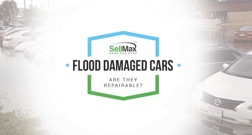 Everything You Need to Know About Repairable Salvage Cars for Sale